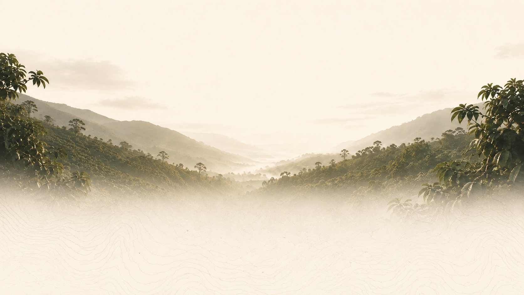 Misty coffee valley mountain landscape background